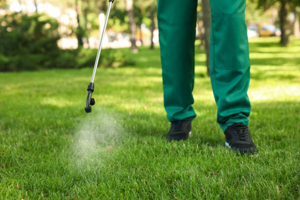 Best Pest Control Near Me  in Nashville, TN