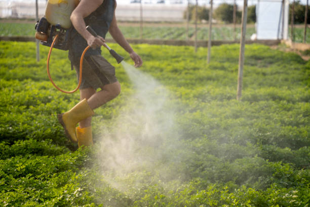 Best Best Pest Control Companies  in Nashville, TN