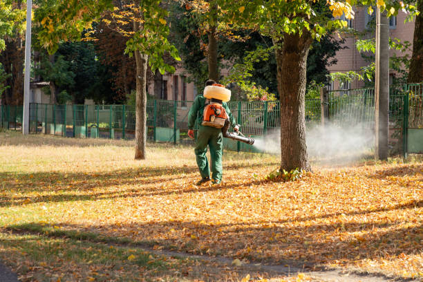 Professional Pest Control in Nashville, TN